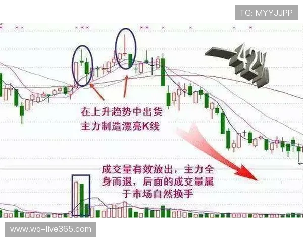 波胆代理怎么找精准客户电子竞技投注盘口避坑防骗 波胆代理怎么找精准客户电子竞技投注盘口避坑防骗